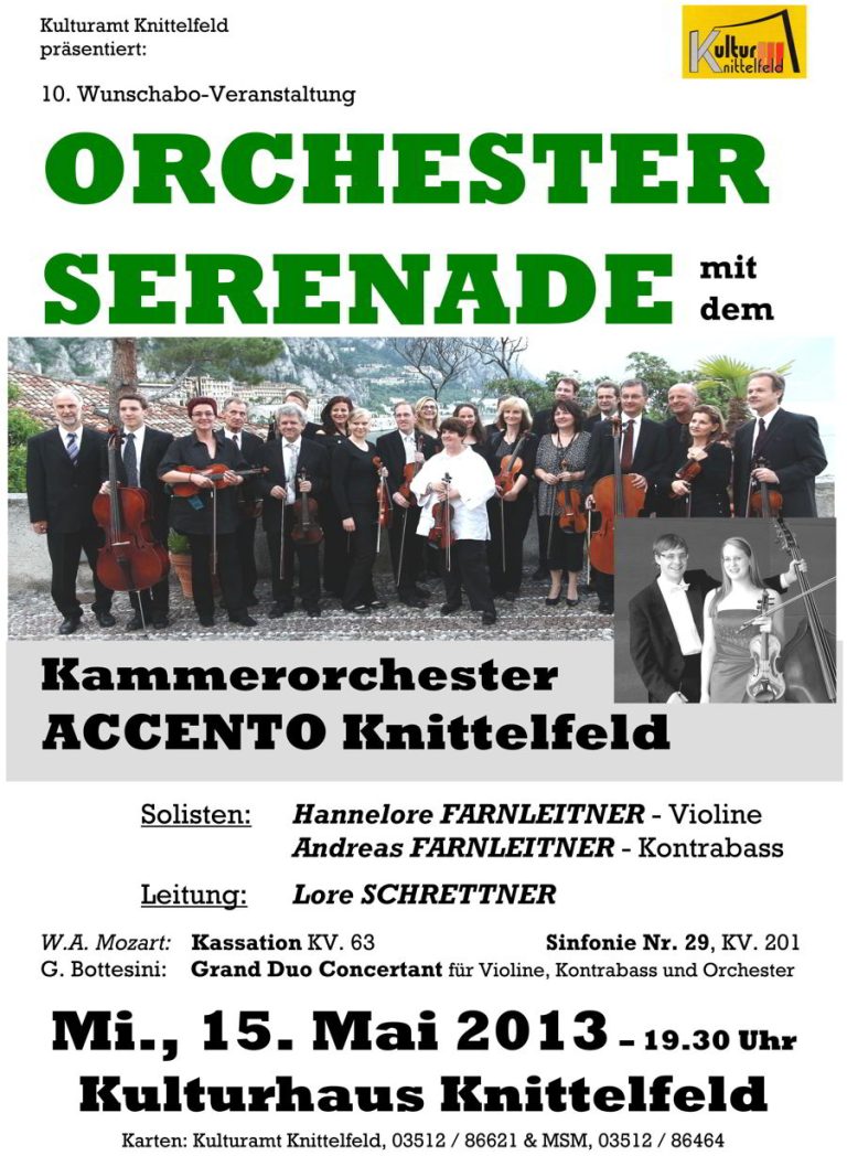 Orchesterserenade 2013